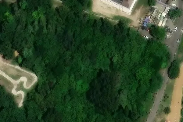 Traces of the Imported Vector