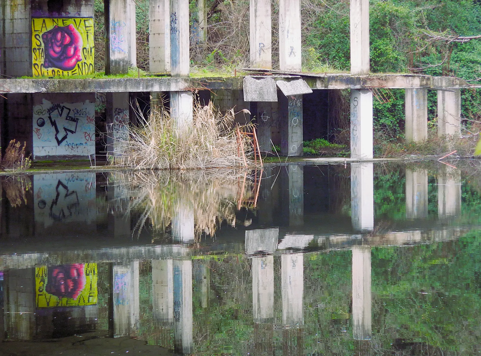 Les squelettes de béton de l'usine Ex SNIA Viscosa se reflétant dans le lac Bullicante, à Rome