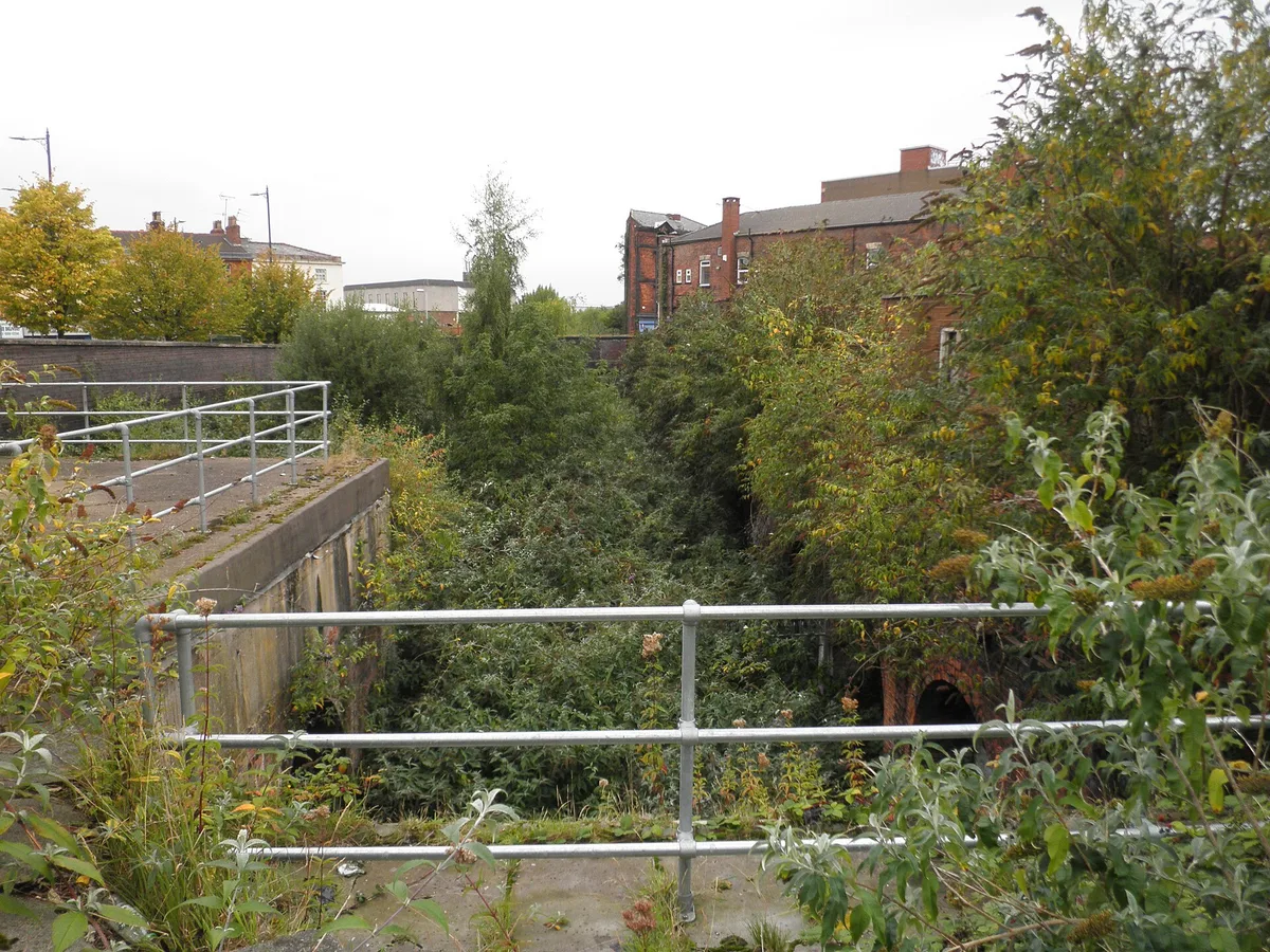 Overgrown disused track of the Birkenhead Dock Branch railway on the Wirral
