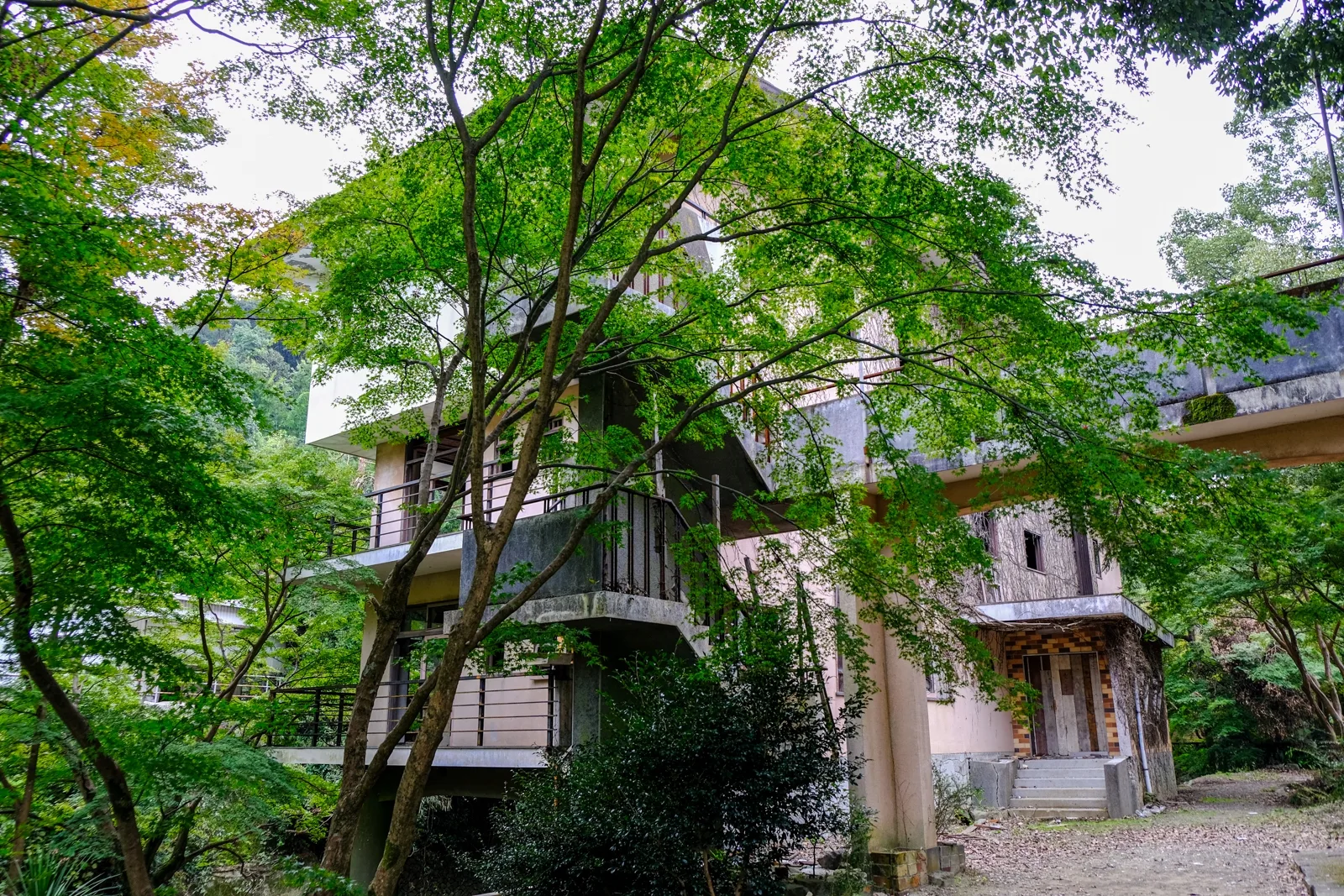 山中渓に残るほととぎす旅館の廃墟。木造の温泉旅館が朽ちていく