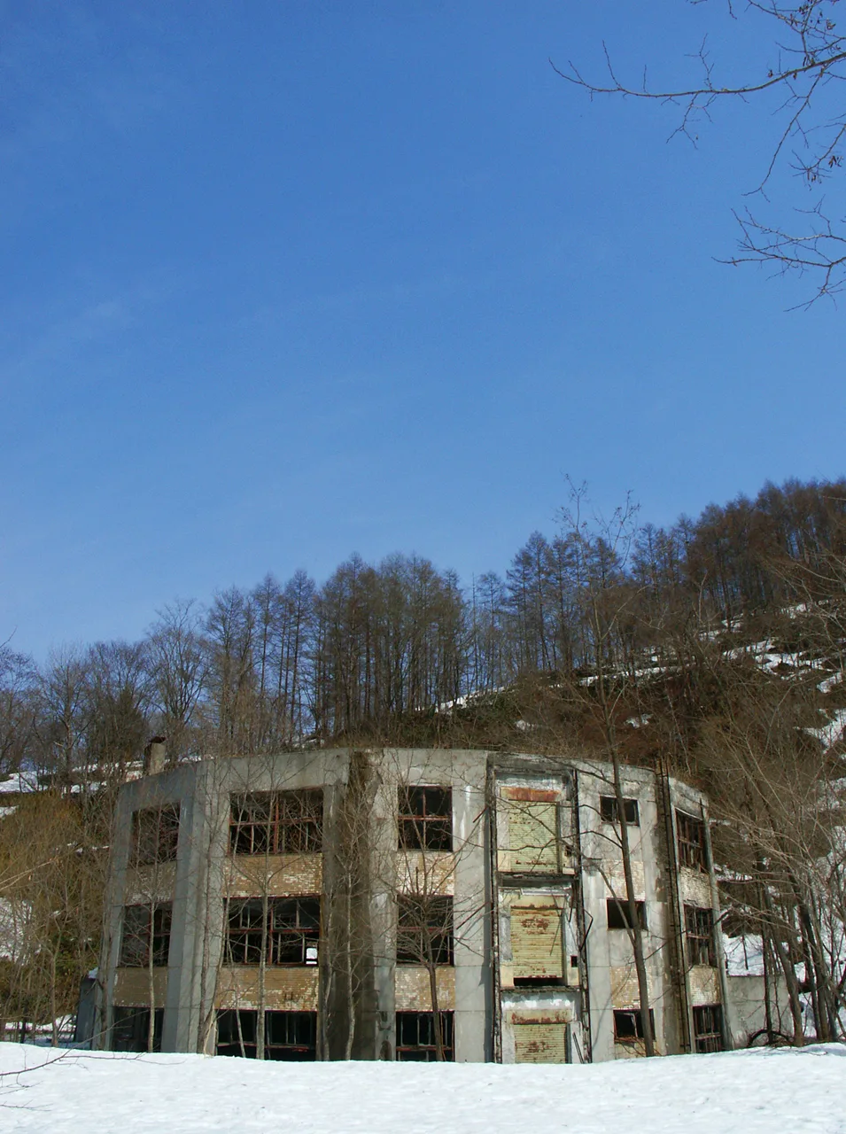 森の中に取り残された沼東小学校の円形校舎、美唄市