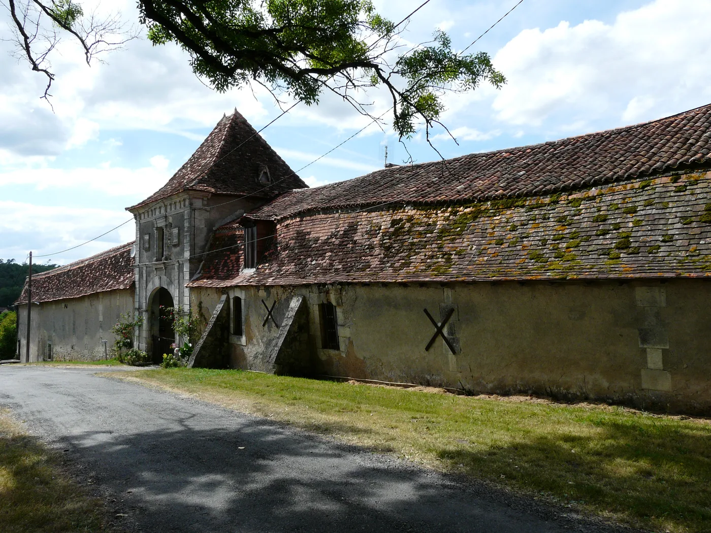 Façade du château abandonné de Segonzac en Dordogne, envahi par la végétation