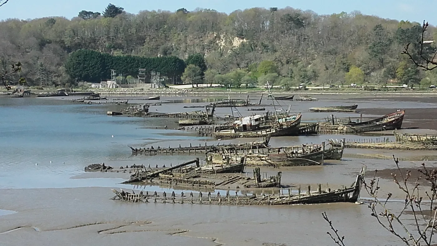Le cimetière de bateaux de Kerhervy à Lanester, épaves de bois échouées dans la vase du Blavet