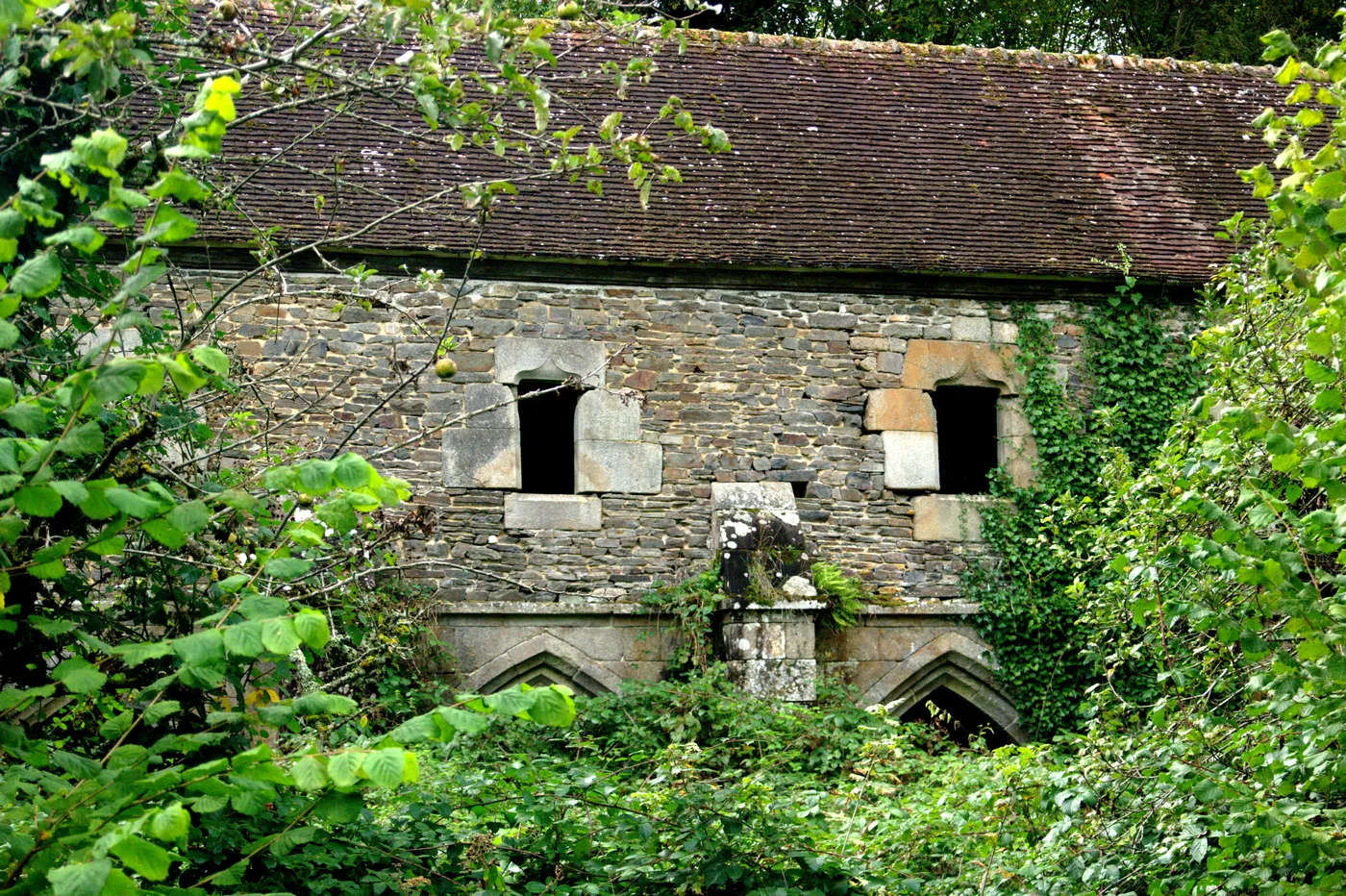Les ruines de l'abbaye de Belle-Étoile à Cerisy-Belle-Étoile dans l'Orne