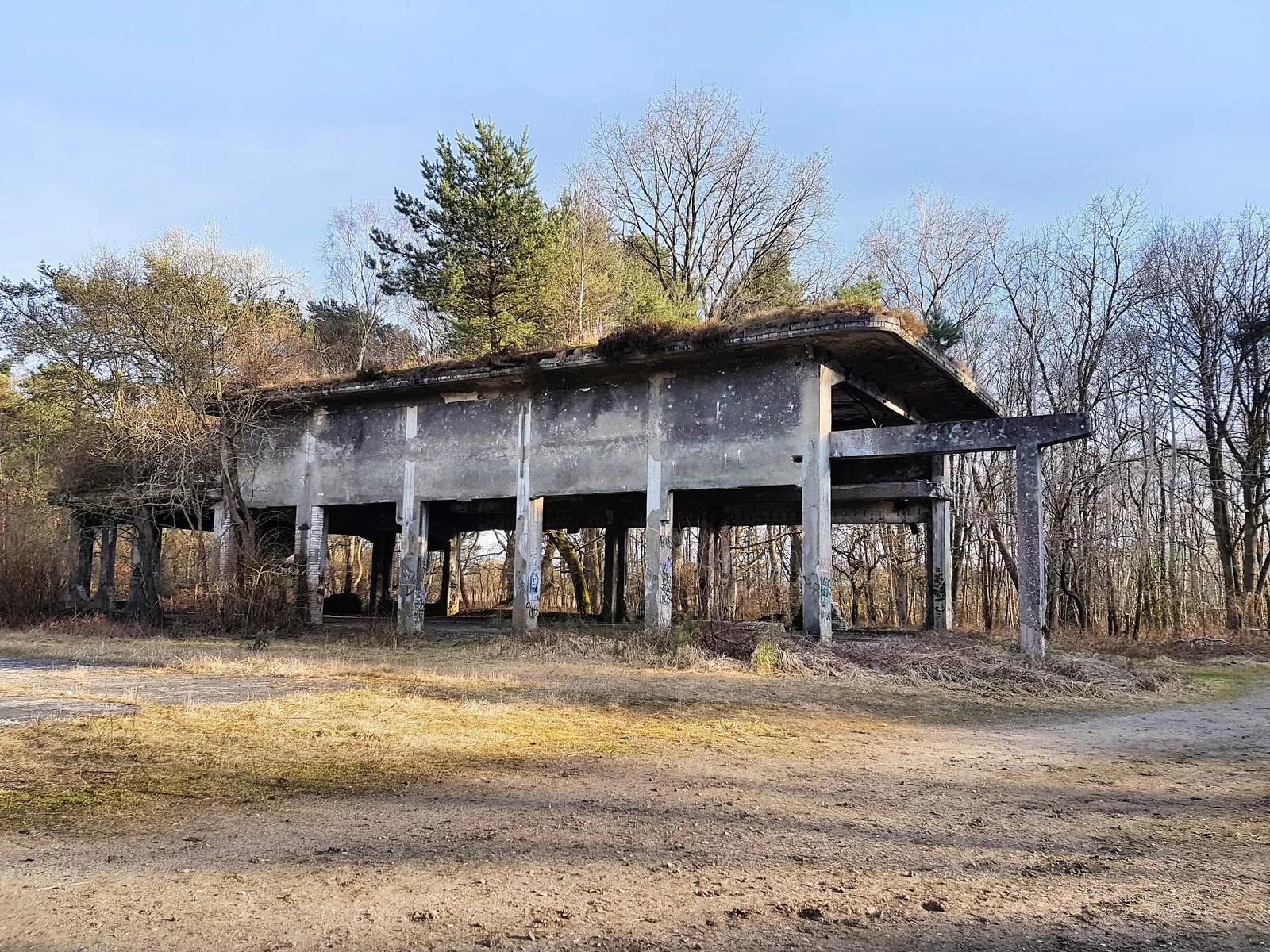 Überwucherte Backsteinruine einer Werkstatt der ehemaligen Pulverfabrik Düneberg in den Besenhorster Sandbergen