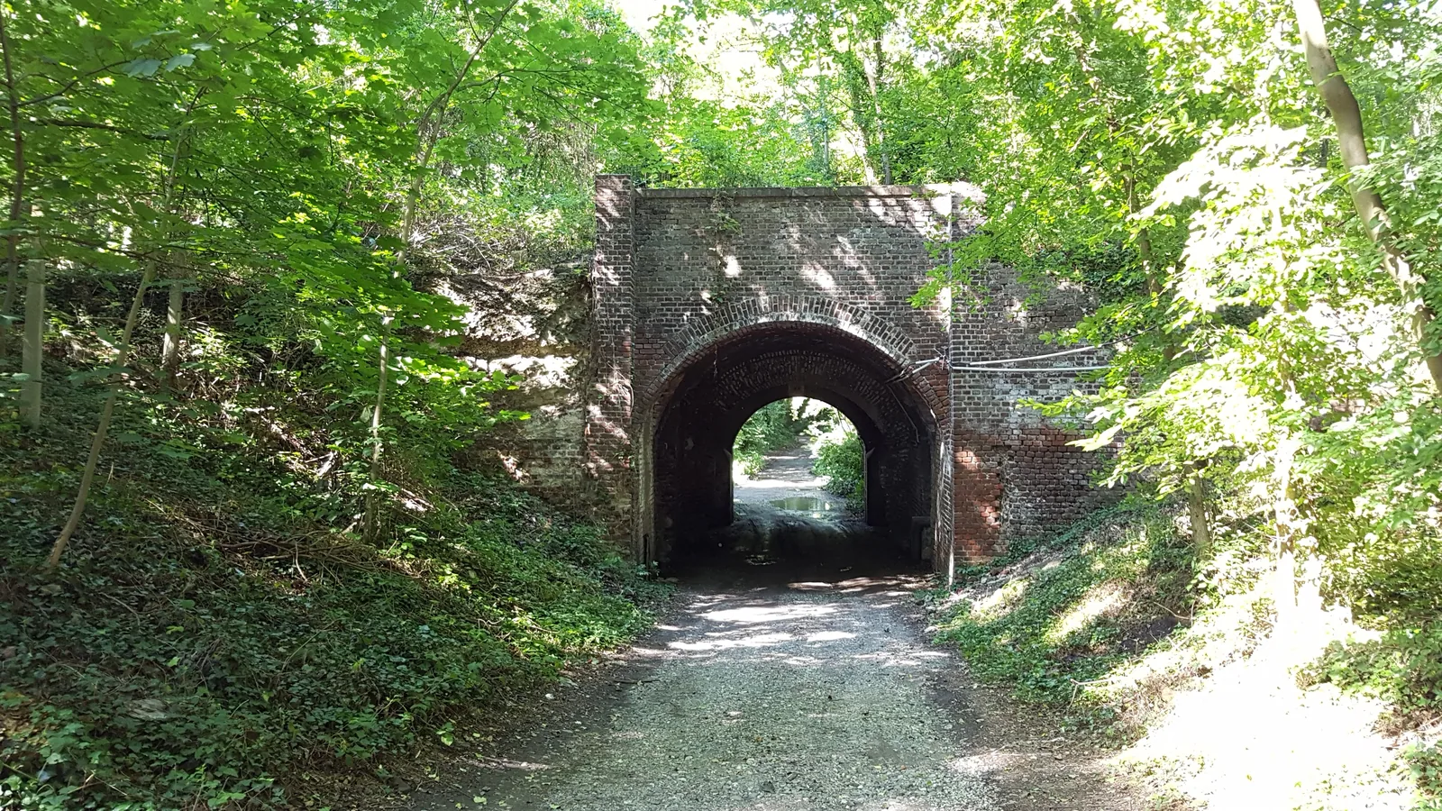 Überwucherte Backsteinmauer und Wallanlage des verlassenen Fort VII in Köln-Zollstock
