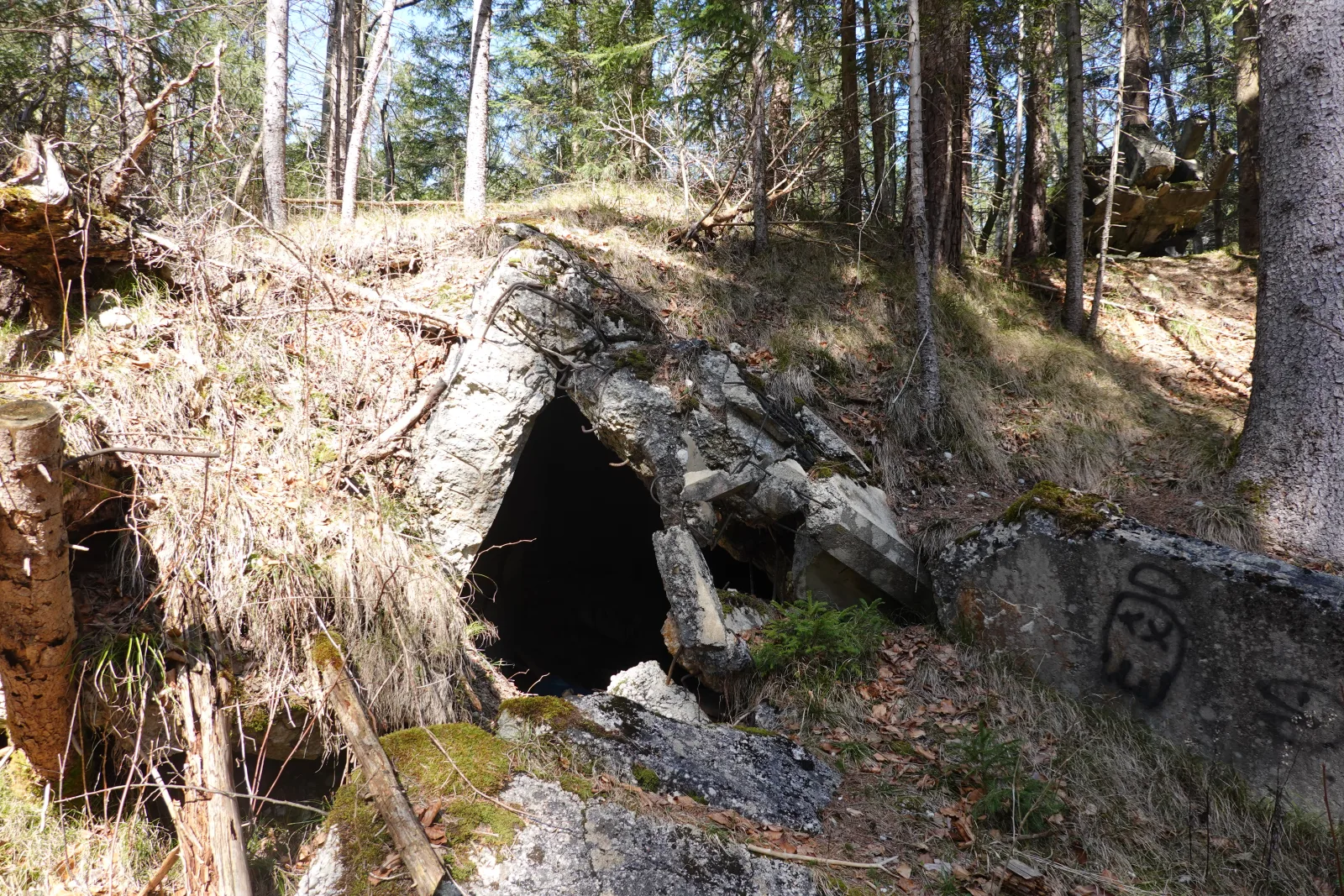 Blown-up bunker ruin of the Dynamit AG in the forest near Geretsried-Gartenberg, a dark opening in broken concrete among the trees