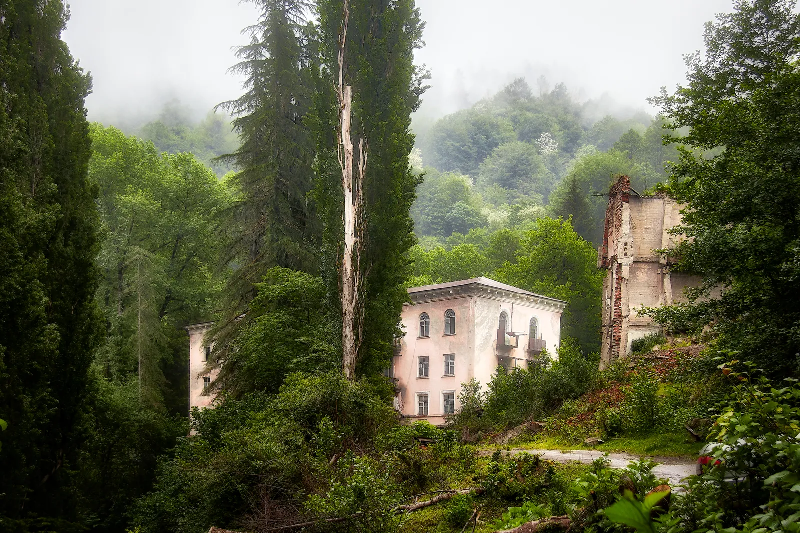 Immeubles staliniens abandonnés d'Akarmara envahis par la végétation, en Abkhazie
