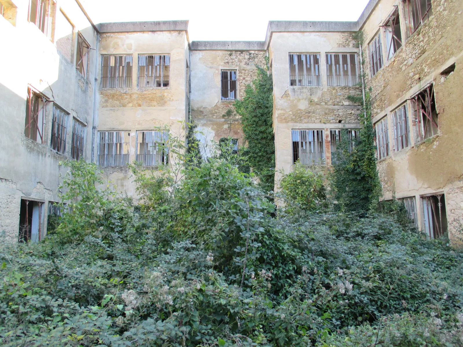 Cour envahie par la végétation de l'ancien hôpital psychiatrique abandonné de Volterra