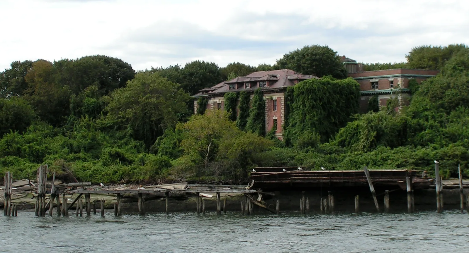 Ruines de l'hôpital Riverside envahies par la forêt sur North Brother Island à New York