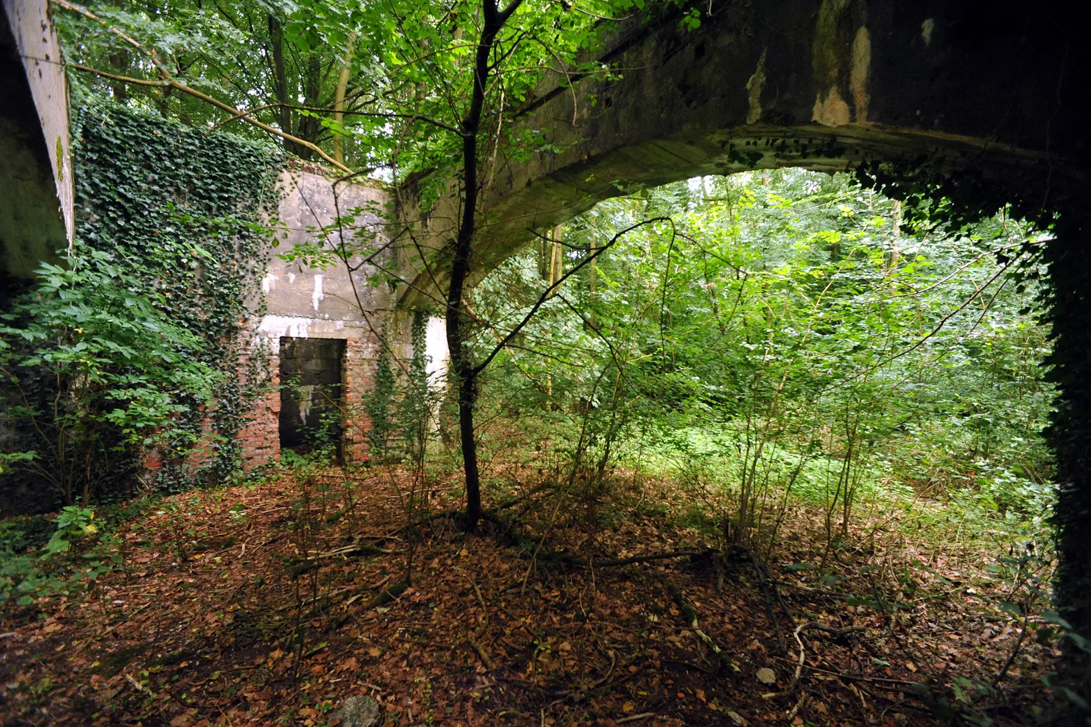 Arches en béton du bâtiment amagnétique du site de lancement V1 Bois Carré à Yvrench dans la Somme