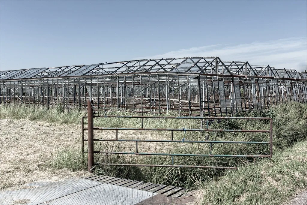 Verlaten kasruïne met roestig hek en kaal glasstaalskelet aan de rand van een Nederlands tuinbouwdorp