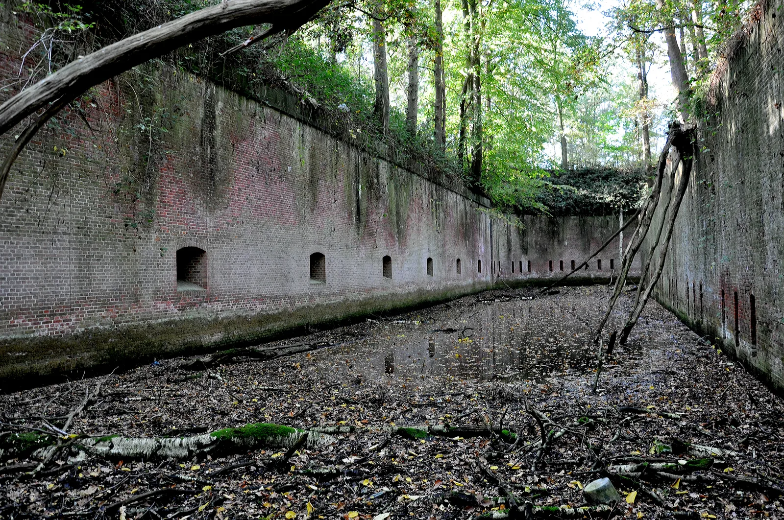 Fossé du Fort van Steendorp, longue muraille de brique percée de meurtrières, envahie par les arbres