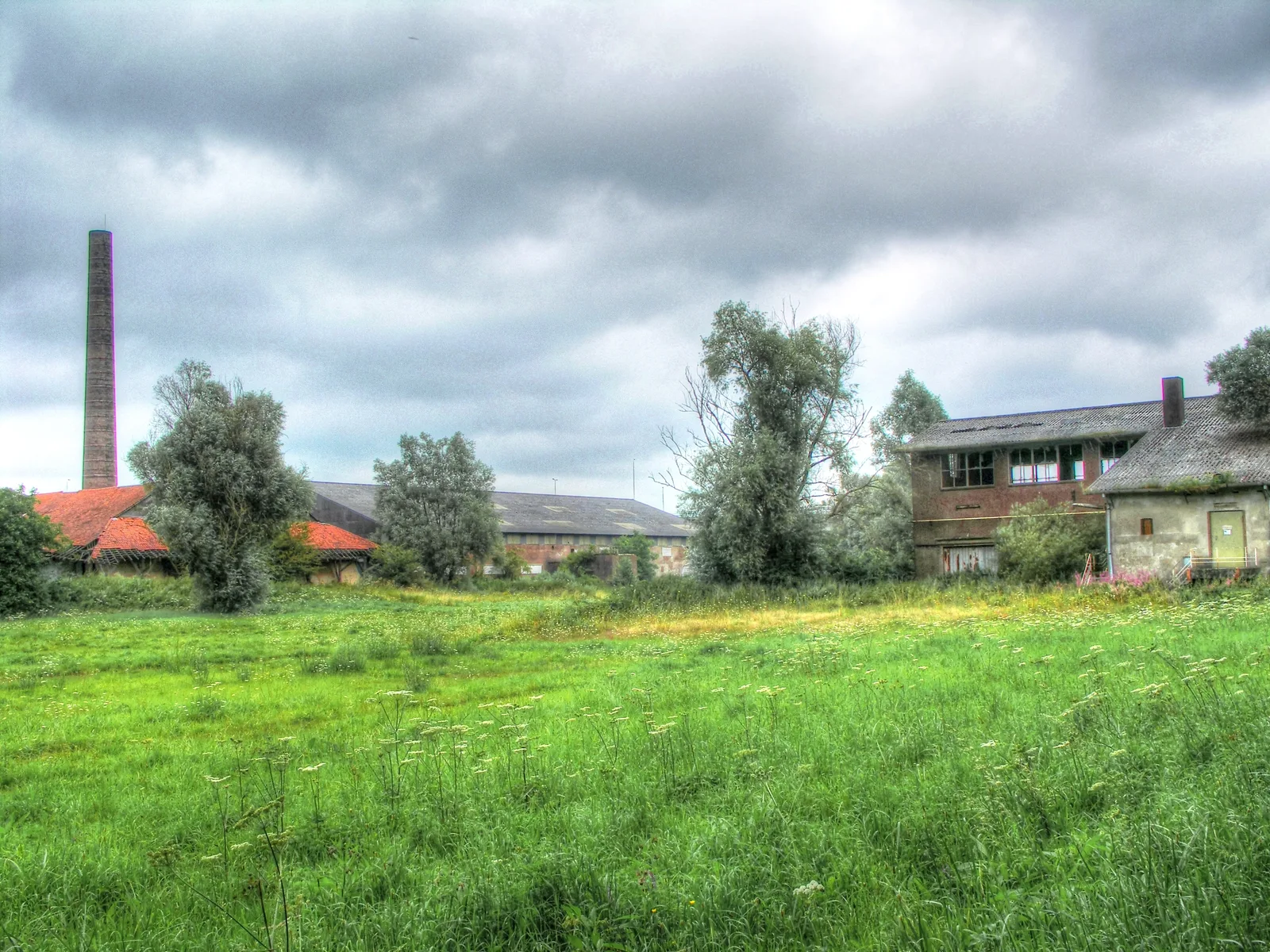 Verlaten steenfabriek De Emptepol in Westervoort met hoge schoorsteen en vervallen fabriekshallen in het gras