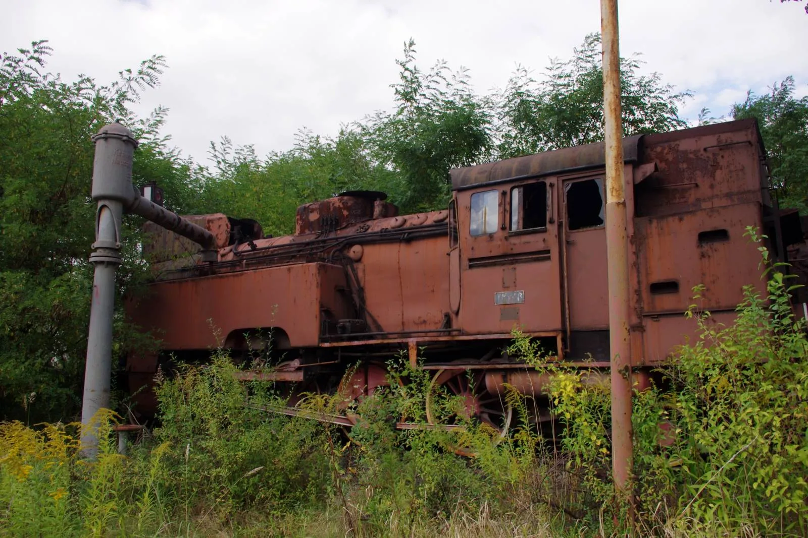 Rdzewiejacy parowoz porosniety roslinnoscia na cmentarzysku pociagow w Krakowie-Płaszowie
