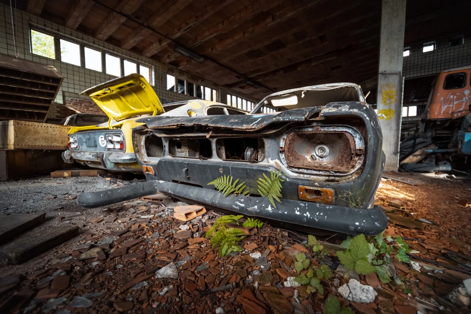 Carcasses de voitures Ford rouillées et envahies par la végétation dans un hall du charbonnage du Renard abandonné, près de Liège