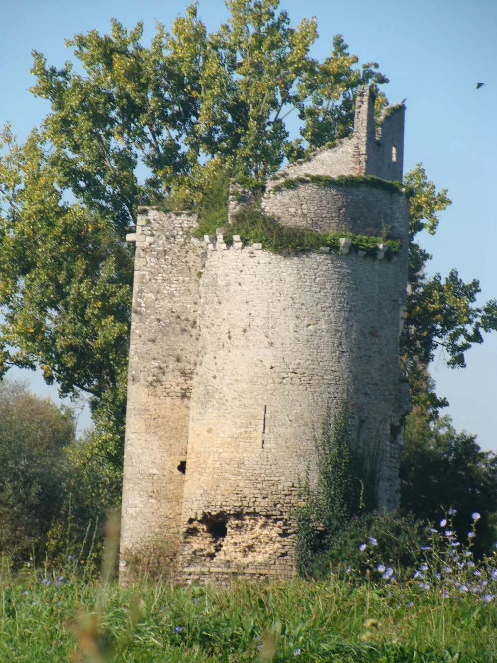 Ruines du château de Machecoul, ancienne forteresse de Gilles de Rais, dans le pays de Retz au sud de Nantes