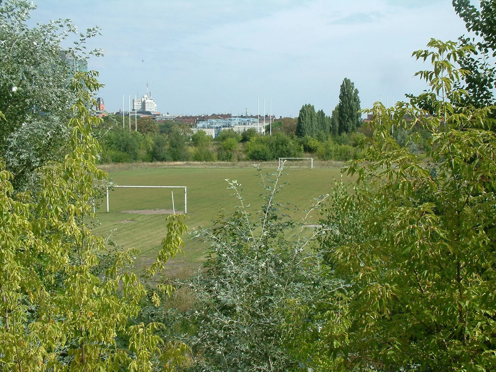 Zarosniety, opuszczony stadion Edmunda Szyca w Poznaniu, dawna arena Warty Poznań