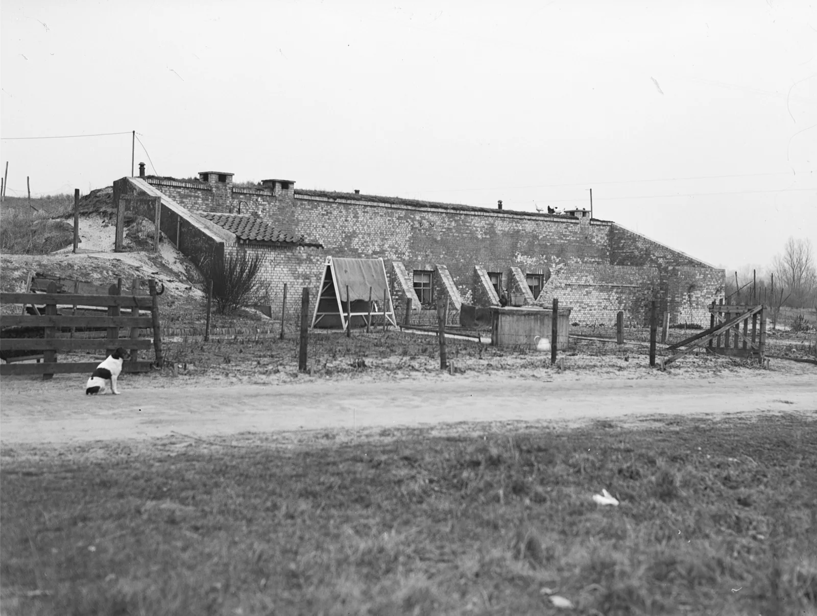 Verlaten Duitse Atlantikwall-bunkers in de duinen tussen Oostvoorne en Rockanje