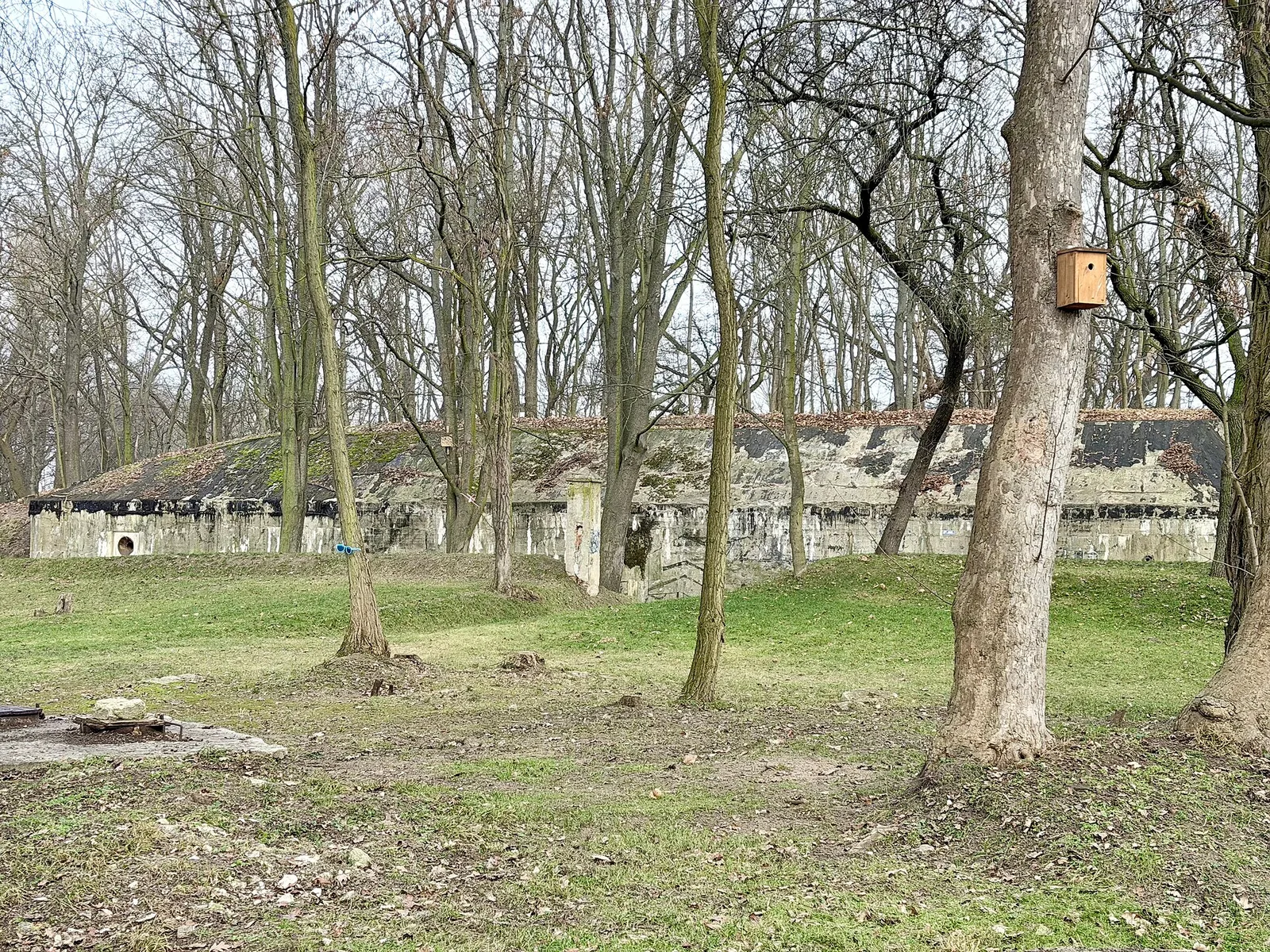 Opuszczony ceglany Fort Piechoty Lisia Gora we Wroclawiu, porosniety drzewami zima